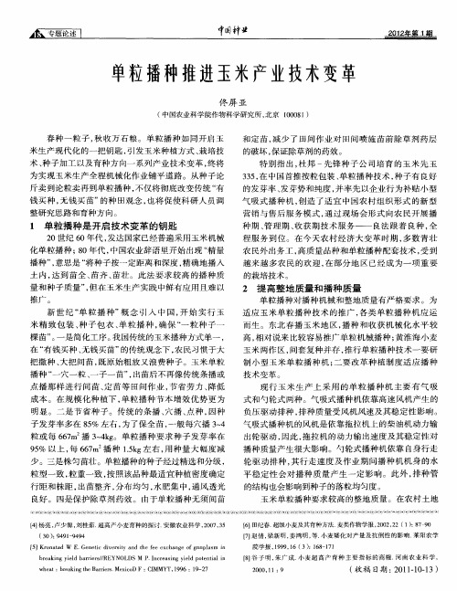 单粒播种推进玉米产业技术变革