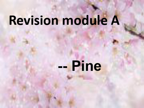 外研版英语九年级上Revision Module A 教学课件(共27张PPT)ppt