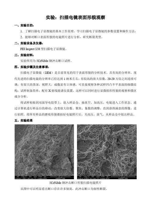 扫描电镜表面形貌观察