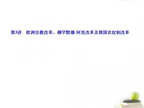 高三历史一轮复习 第3讲欧洲宗教改革、穆罕默德·阿里改革及俄国农奴制改革 课件 岳麓版选修1(山东专用版)