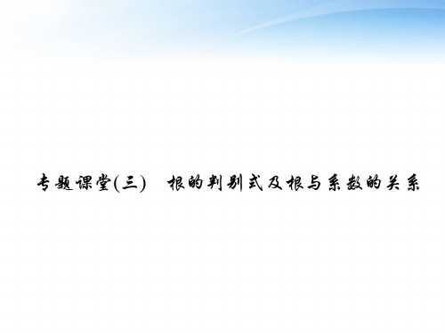 根的判别式及根与系数的关系