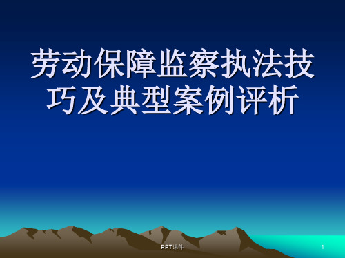 劳动保障监察执法技巧及典型案例评析  ppt课件