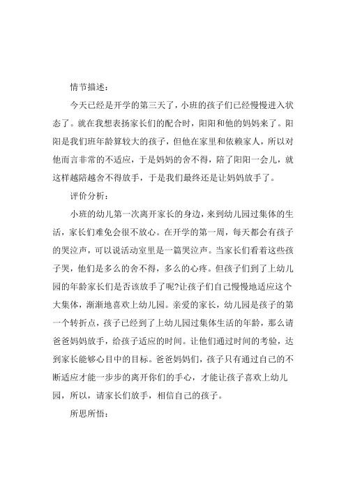 小班教育案例分析放手了就好