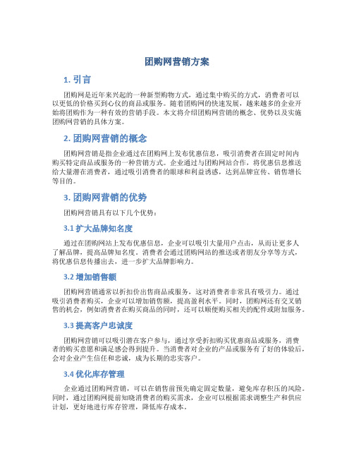 团购网营销方案