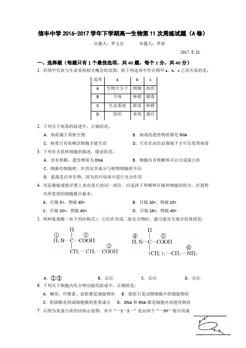 江西省赣州市信丰县信丰中学2016-2017学年高一下学期周练十一生物试题Word版含答案