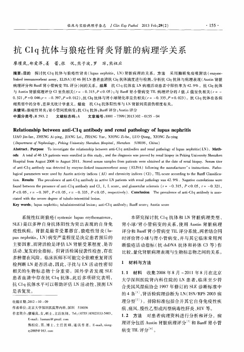 抗C1q抗体与狼疮性肾炎肾脏的病理学关系