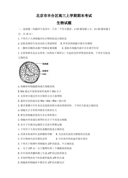 2019-2020年北京市丰台区高三上学期期末考试生物试卷(有答案) (2)【优质版】