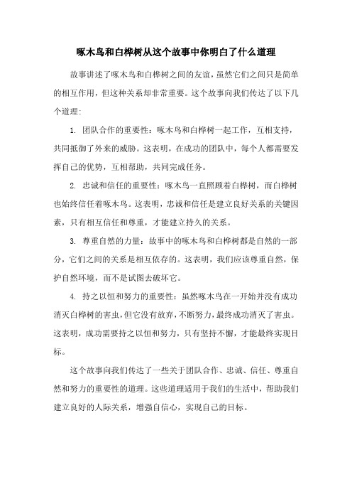 啄木鸟和白桦树从这个故事中你明白了什么道理