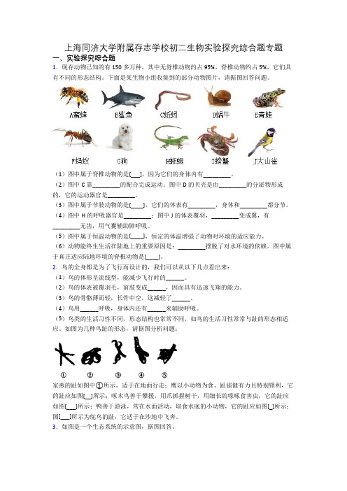 上海同济大学附属存志学校初二生物实验探究综合题专题