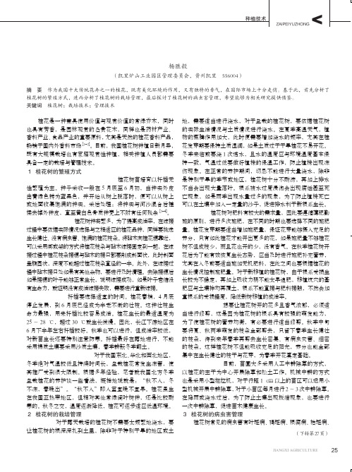 桂花树栽培与管理技术要点