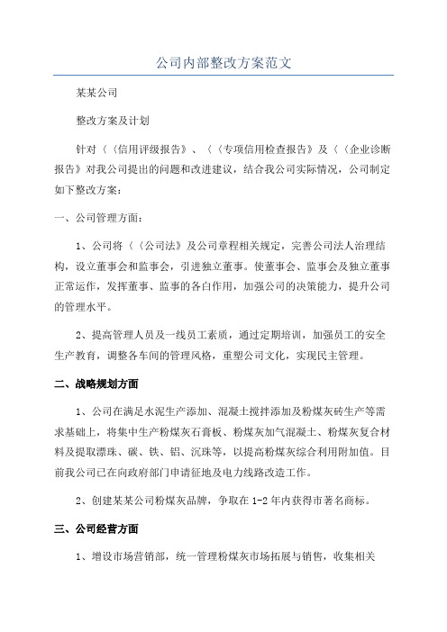 公司内部整改方案范文