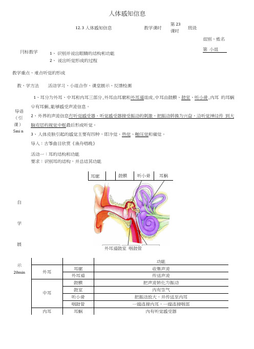 七年级生物下册123人体感知信息学案(第2课时)学案(新版)苏教版.docx