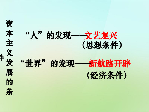 九年级历史上册 1.2 探险者的梦想课件 北师大版