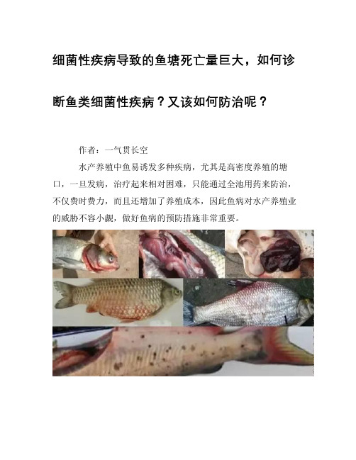 细菌性疾病导致的鱼塘死亡量巨大,如何诊断鱼类细菌性疾病？又该如何防治呢？