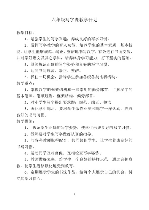 小学六年级钢笔字练习课授课教案