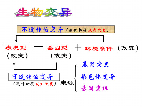 变异与育种专题