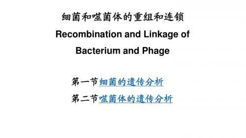 细菌和噬菌体的重组和连锁   Recombination and Linkage of Bacterium and Phage