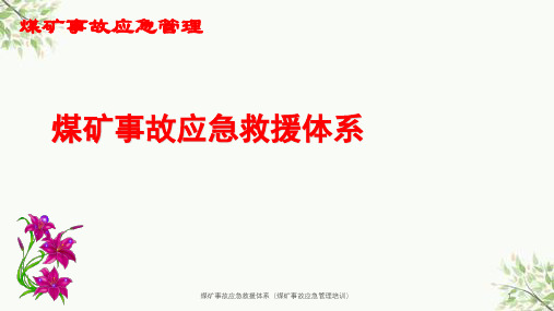 煤矿事故应急救援体系(煤矿事故应急管理培训)课件