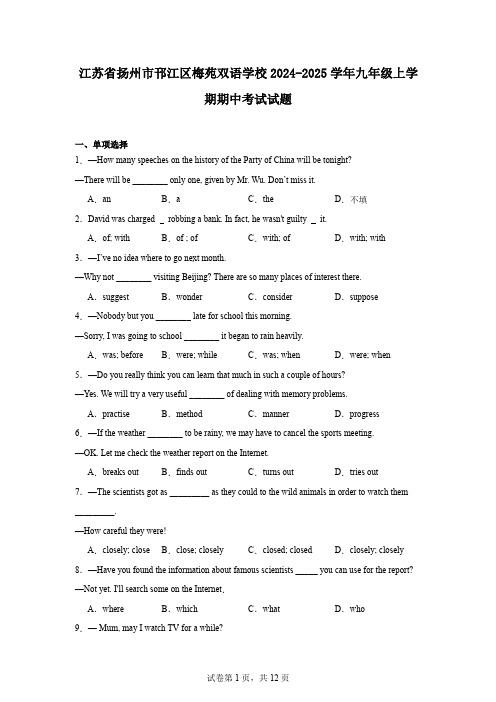 江苏省扬州市邗江区梅苑双语学校2024-2025学年九年级上学期期中考试试题