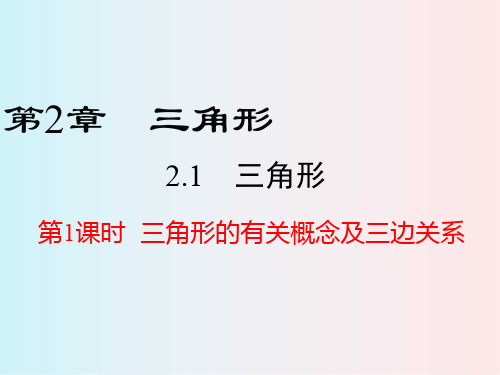 湘教版八年级数学上册 2.1 第1课时 三角形的有关概念及三边关系