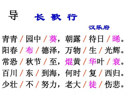 长歌行 野望 早寒江上有怀rui