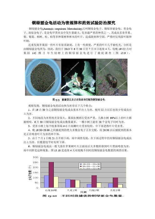 铜绿丽金龟活动为害规律和药效试验防治探究