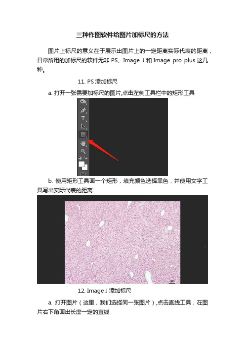 三种作图软件给图片加标尺的方法