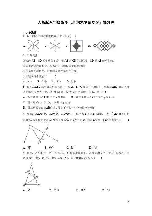 人教版八年级数学上册期末专题复习：轴对称