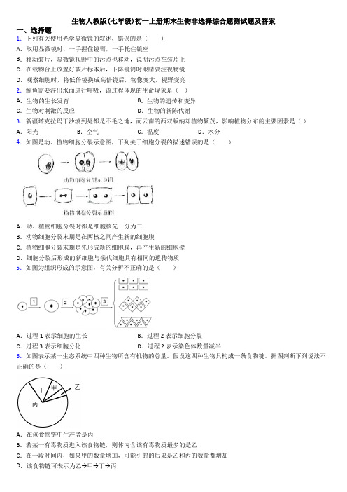 生物人教版(七年级)初一上册期末生物非选择综合题测试题及答案