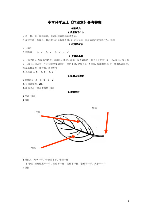 小学科学三上《作业本》参考答案