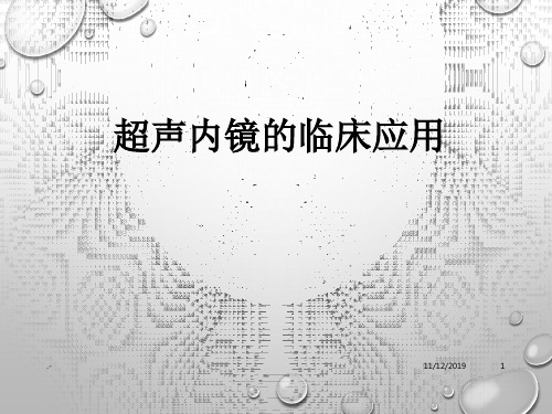 超声内镜的临床应用PPT课件