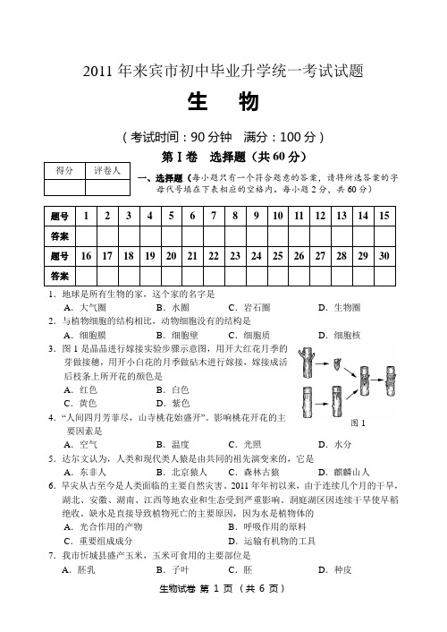 2011年生物中考正题