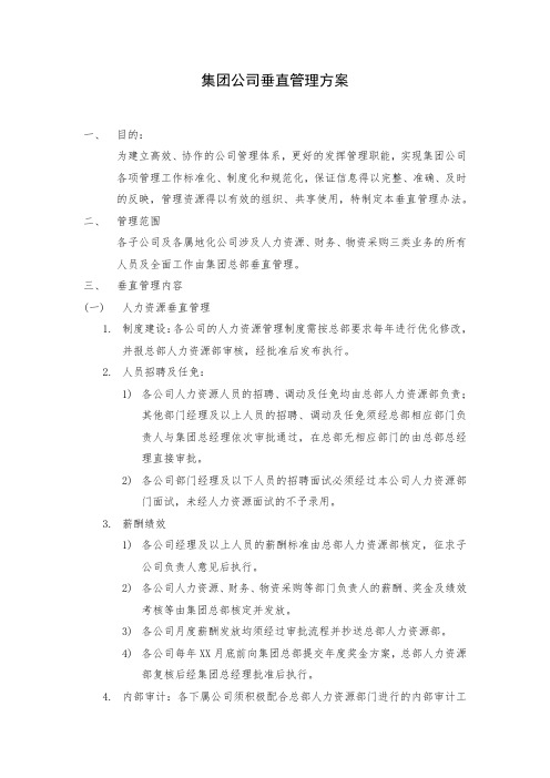 集团垂直管理方案