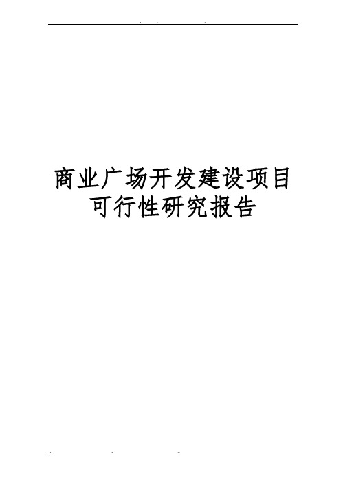 商业广场开发建设项目可行性实施报告