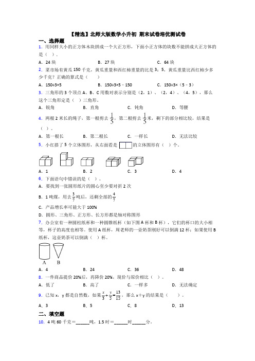 【精选】北师大版数学小升初 期末试卷培优测试卷