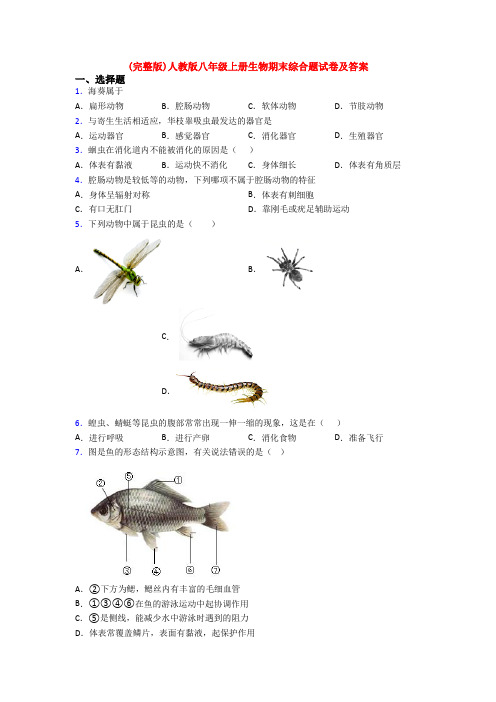 (完整版)人教版八年级上册生物期末综合题试卷及答案