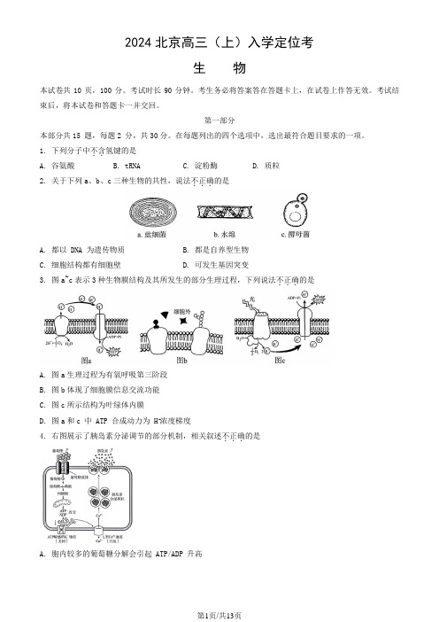 2024北京高三(上)入学定位考生物(教师版)