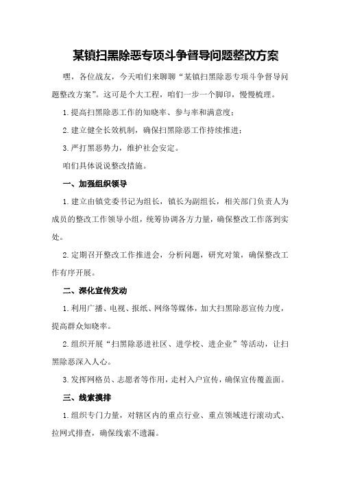 某镇扫黑除恶专项斗争督导问题整改方案