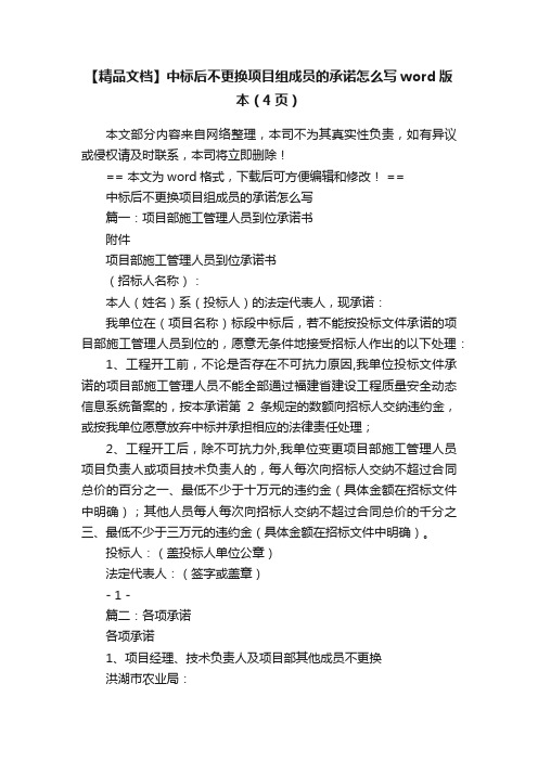 【精品文档】中标后不更换项目组成员的承诺怎么写word版本（4页）