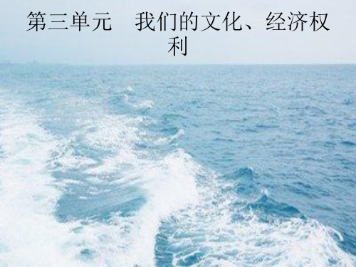 中考政治复习第一篇第四部分八下第三单元我们的文化经济权利课件