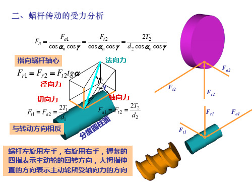 蜗杆受力分析