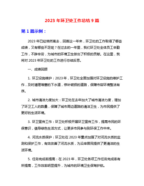 2023年环卫处工作总结9篇