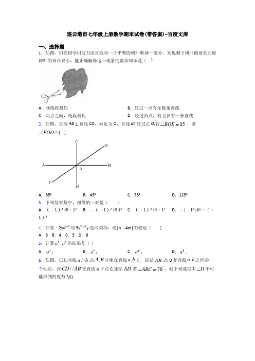 连云港市七年级上册数学期末试卷(带答案)-百度文库