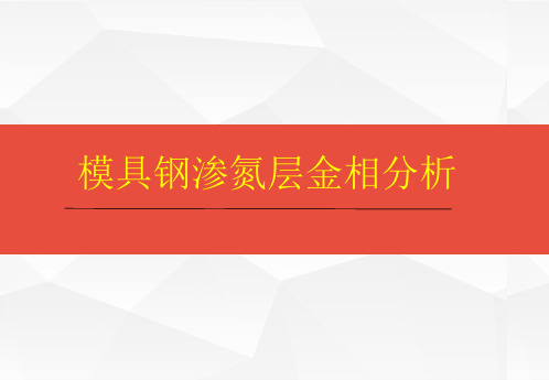 模具钢渗氮层金相分析