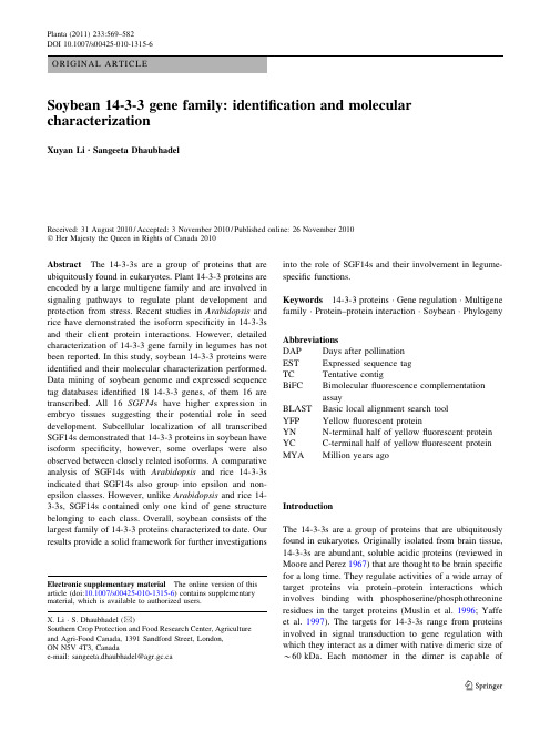 Soybean 14-3-3 gene family identification and molecular characterization