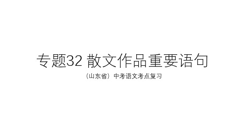 山东省中考语文考点：32散文作品重要语句ppt精品课件