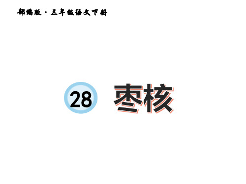 部编版三年级语文下册28＊枣核课件(共48张)