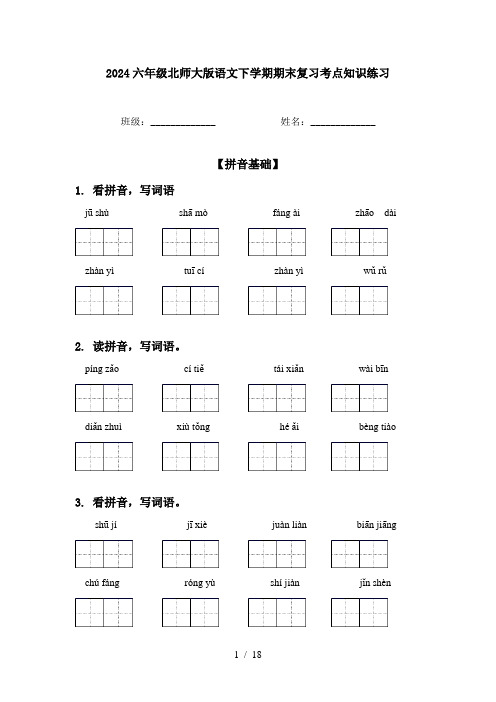 2024六年级北师大版语文下学期期末复习考点知识练习