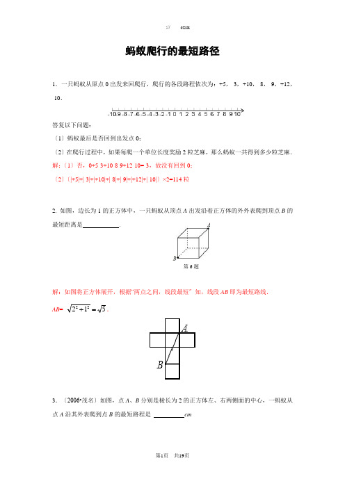 专题训练-蚂蚁爬行的最短路径(含答案)