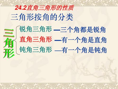 华师大版九年级数学上册24.2《直角三角形的性质》课件